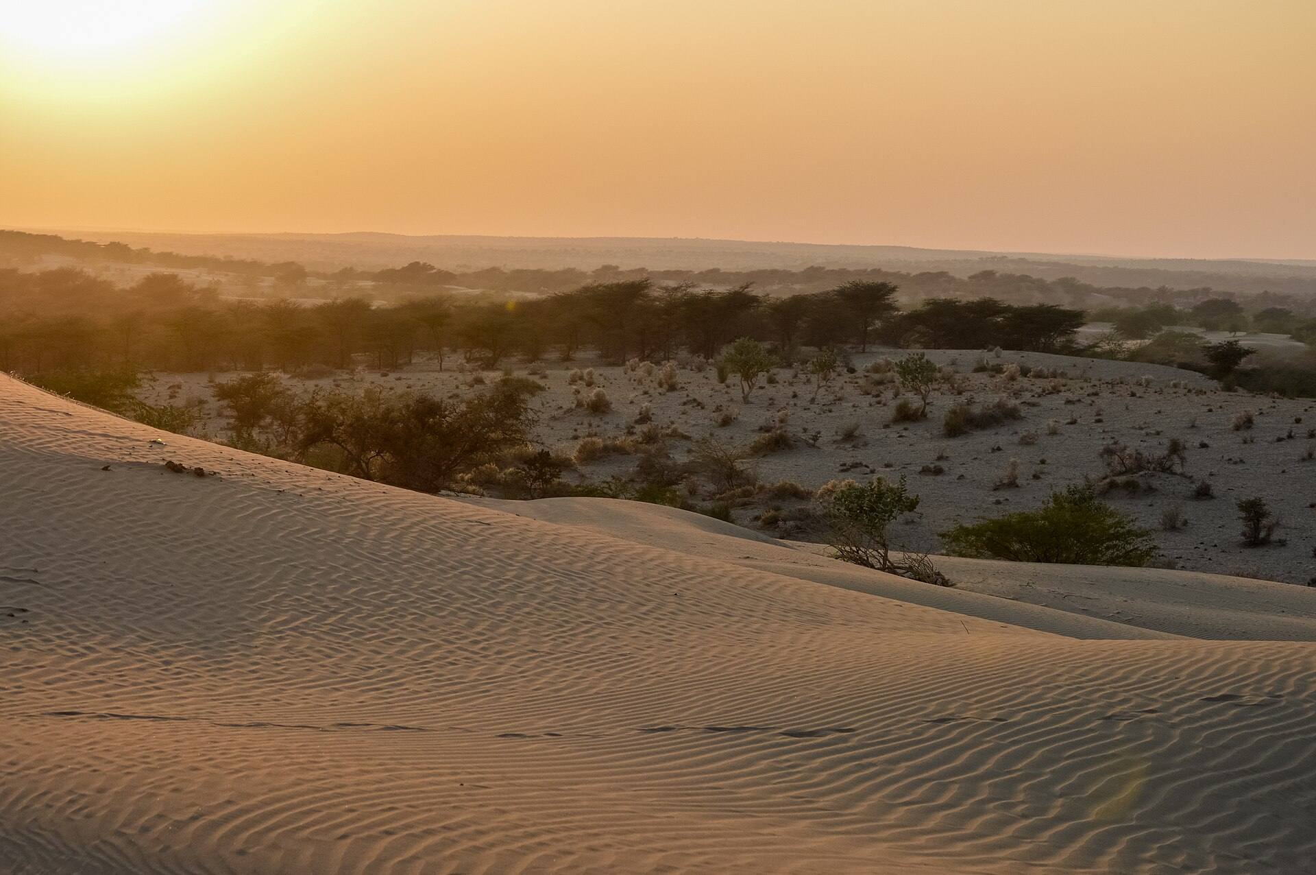 Sam dunes at sunset, Jaisalmer