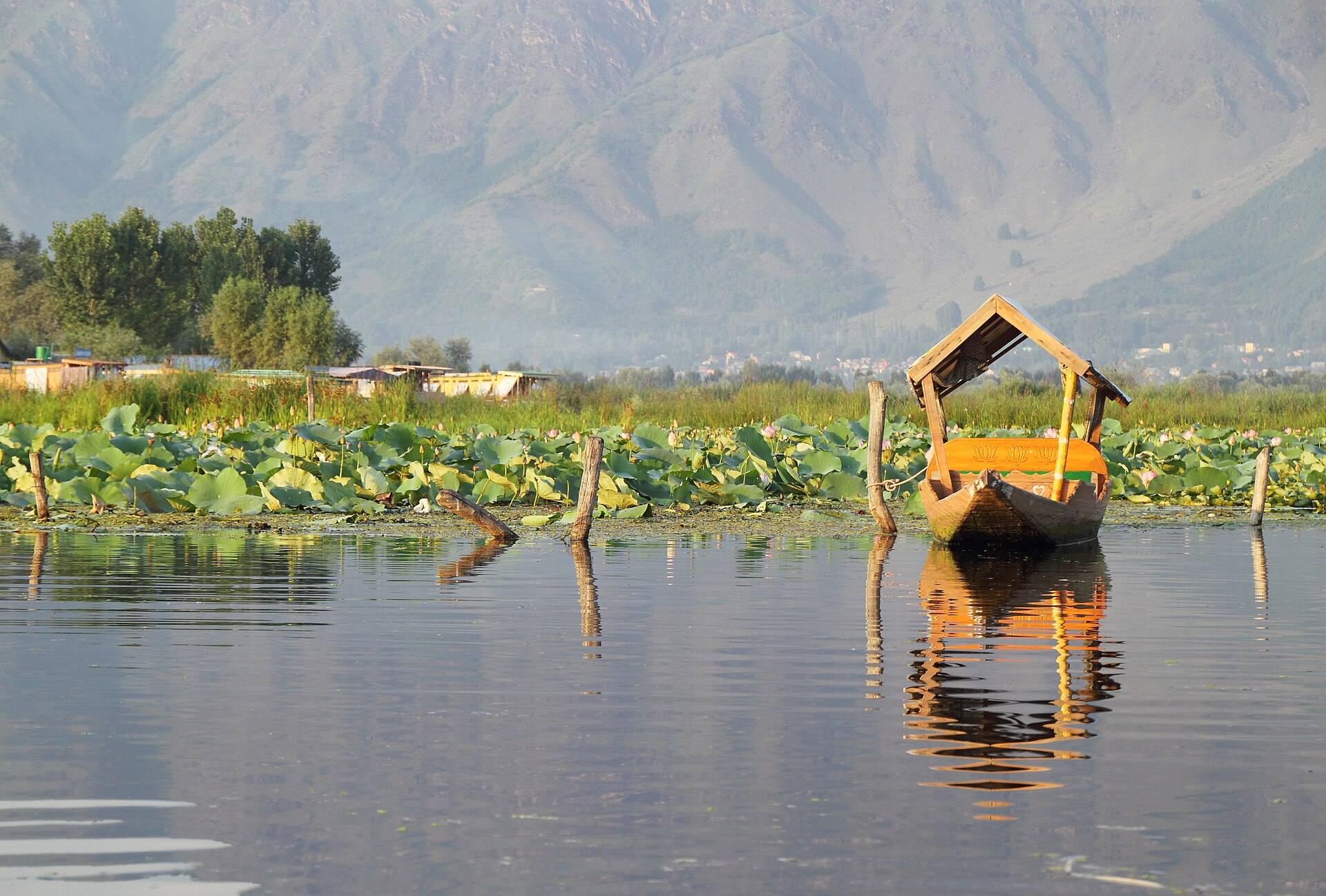 Shikara on Dal Lake, Kashmir